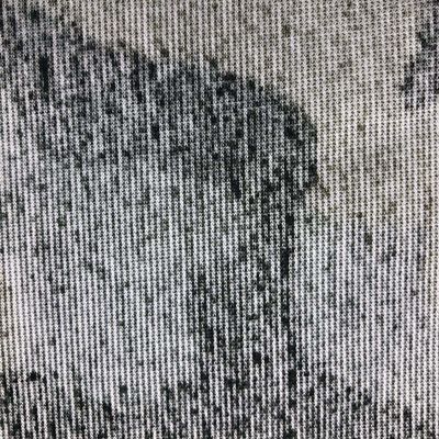 Falsches Kaninchenfell für Kleidungsstücke 100% Polyester Jacquard 3 Farbdruck Stoff