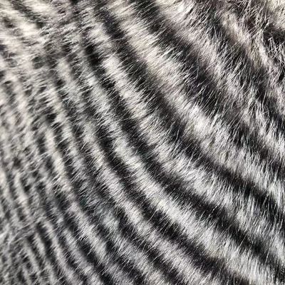 100% Polyester Frontmaterial Falschfellgewebe für Winterkleidung in verschiedenen Dichten