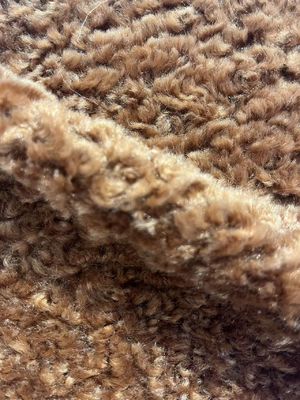 Flecken abwehrendes Haustextil Polyester Teddy Stoff für Bekleidung und Sofa Auswahl