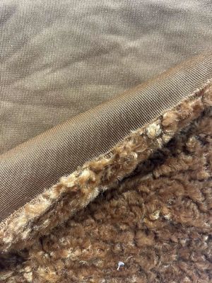Flecken abwehrendes Haustextil Polyester Teddy Stoff für Bekleidung und Sofa Auswahl
