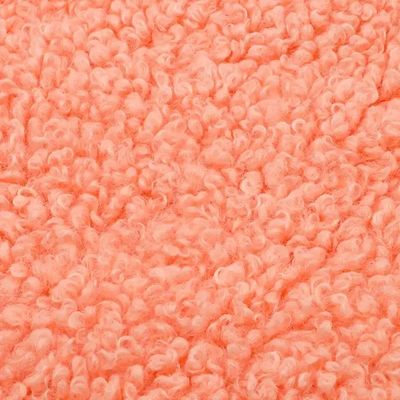 Damenmantel 300GSM Teddy Fleece Stoff Weichschalen kundenspezifische Farbe 100% Polyester kostenlose Proben