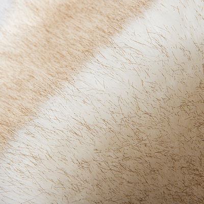 100% Polyester Gewebe Gewirkt Weiches Falsches Fell mit hohem Gewicht und langem Haarhaufen